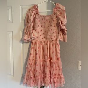 IVY City Strawberry Fields dress